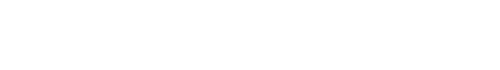 Formuler Z